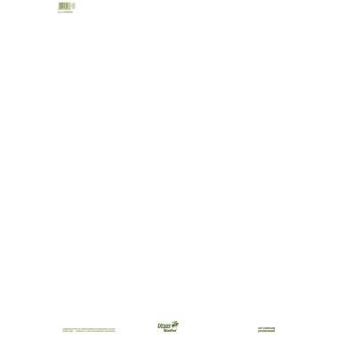 Staufen Flipchartblock Green 608580000 68x99cm 20Bl. blanko