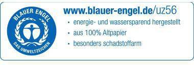 Leitz Einhängeheftstreifen 37010055 35x158mm Karton grün 250 St./Pack.