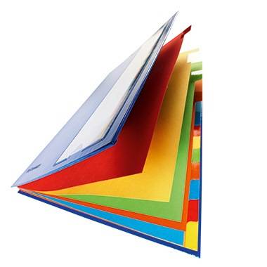 PAGNA Ordnungsmappe Deskorganizer 44133-02 DIN A4 12Fächer blau