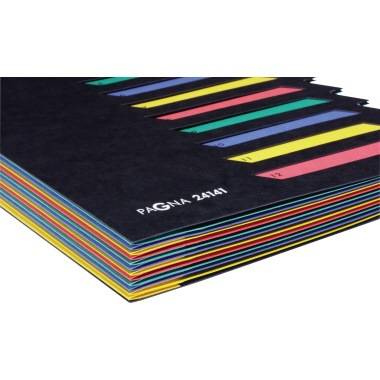 PAGNA Ordnungsmappe Deskorganizer 24141-04 DIN A4 12tlg. Pressspan sw