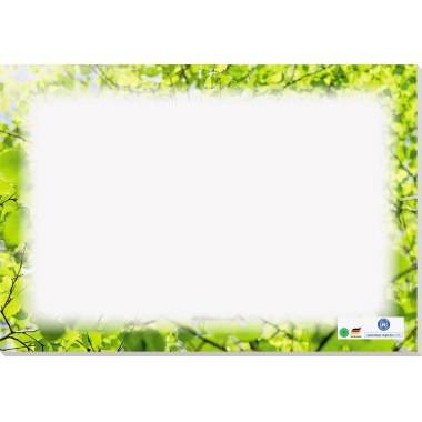 Soennecken Schreibunterlage oeco 3667 RC 20Blatt