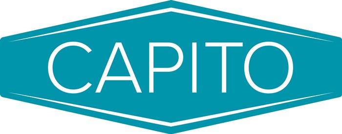 Profi Schubkarre Praktica 85 85l Luftrad Stahlblechfelge m.Kugell.CAPITO