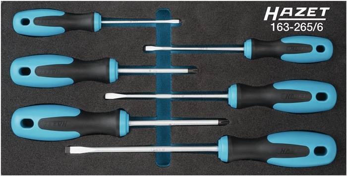 Werkzeugmodul 163-265/6 6-tlg.HAZET