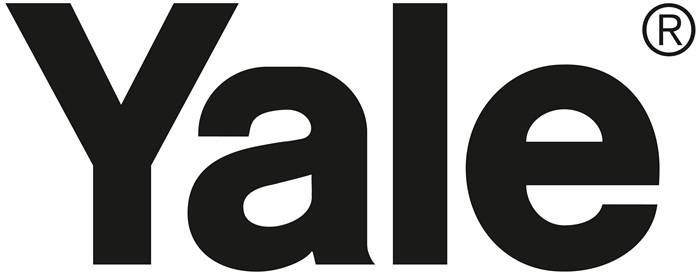 Hebelzug Yalehandy Trgf.250kg Hubh.3m m.Lastdruckbr.YALE