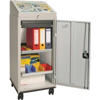 Werkzeugschrankset m.Pultaufsatz H1310xB500xT500mm lichtgrau/lichtgrau Werkzeugschrankset m.Pultaufsatz H1310xB500xT500mm lichtgrau/lichtgrau