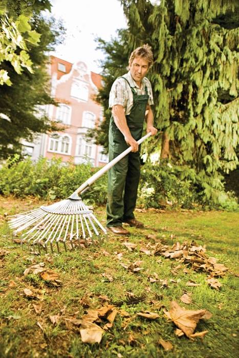 Laubbesen Arbeits-B.450mm Stahl,verz.feststehend FLORA 10 Stück