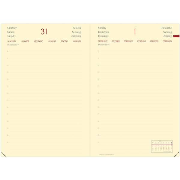 Buchkalender Daily 21 13x21cm Silk wassergrün 2026