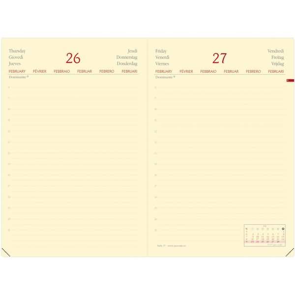 Buchkalender Daily 17 12x17cm Silk orange 2024