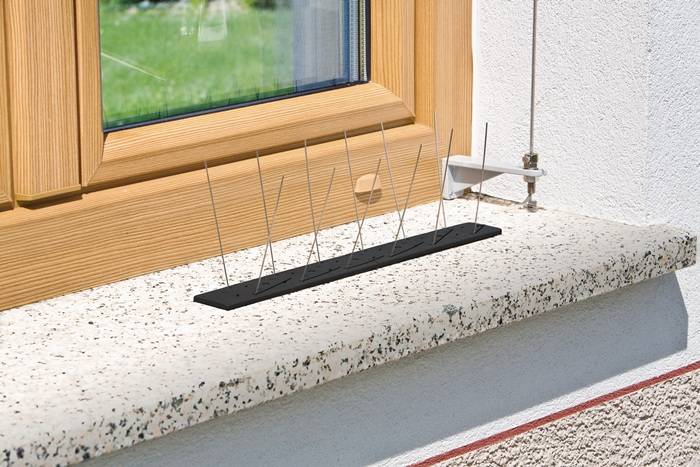 Vogel- u.Taubenabwehr Starter Set Schutz b.1 m,36 Spikes Ku.WINDHAGER