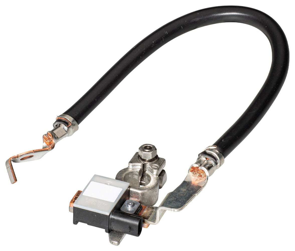 HELLA 6PK 013 442-901 Sensor, Batteriemanagement - 12V - geschraubt - Kabel: 355mm