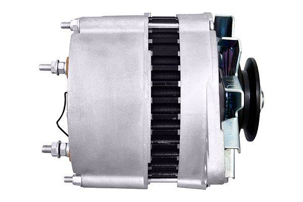HELLA 8EL 012 427-311 Generator - 14V - 55A - für u.a. Ford Fiesta IV (Ja_, Jb_)