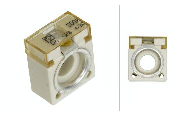 HELLA 8JS 747 876-081 Sicherung - CF8 - 300A - Spannung bis: 58V - Menge: 1