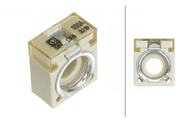 HELLA 8JS 747 876-021 Sicherung - CF8 - 100A - Spannung bis: 58V - Menge: 1