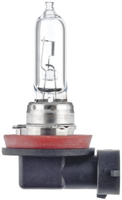 HELLA 8GH 008 357-181 Glühlampe - H9 - White light - 12V - 65W - Sockelausführung: PGJ19-5 - Schacht