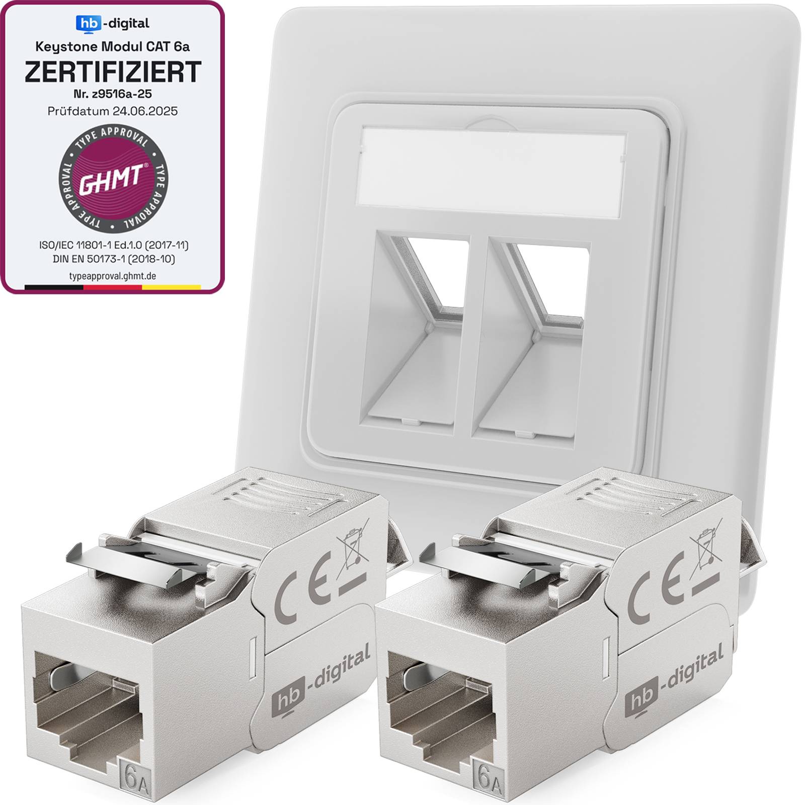 hb-digital Netzwerk Dose mit 2 x Keystone Modul CAT6a Patch Dose RJ45 Unterputz RAL9003