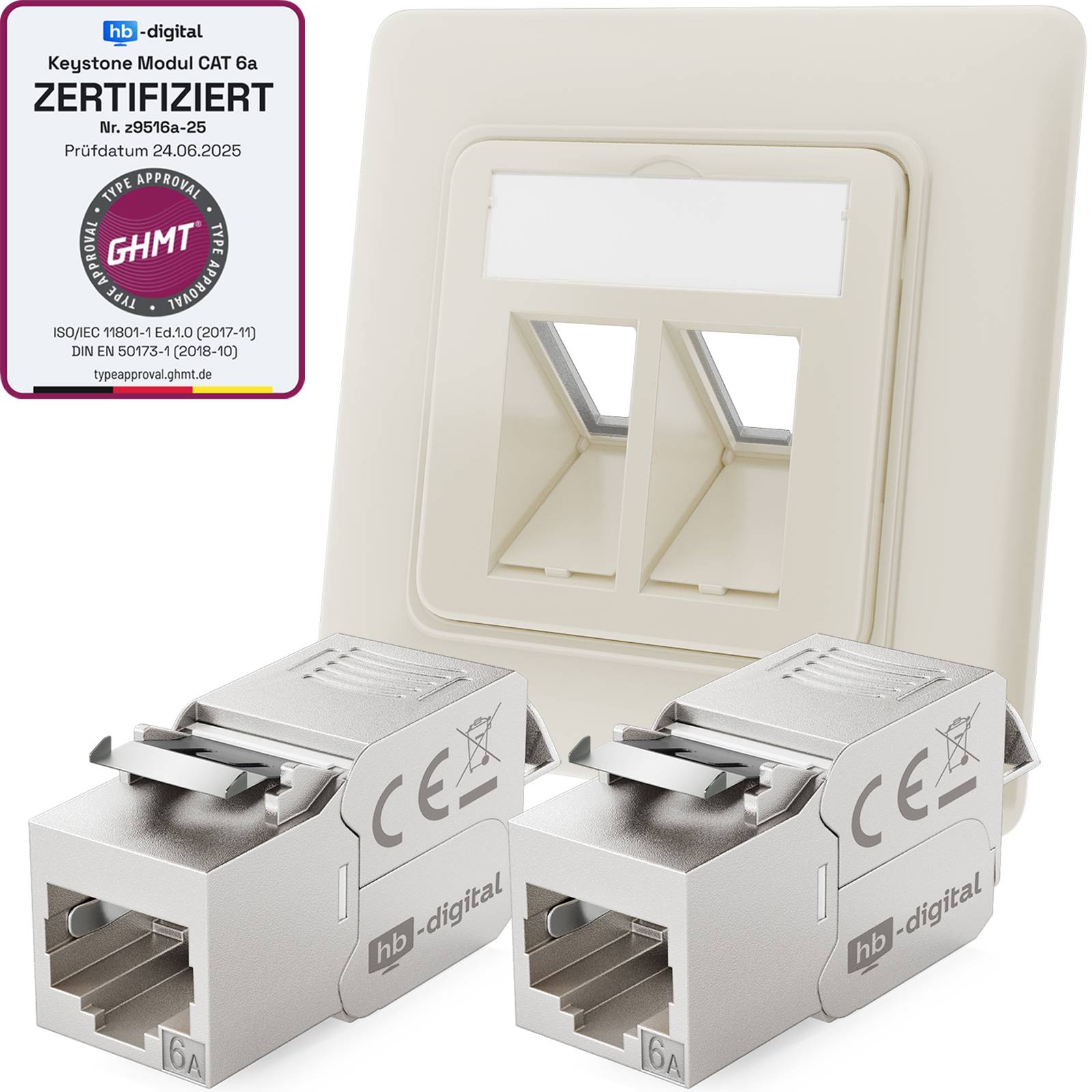 hb-digital Netzwerk Dose 2 Port mit 2 x Keystone Modul CAT 6a LAN Dose RJ45 Unterputz RAL9010