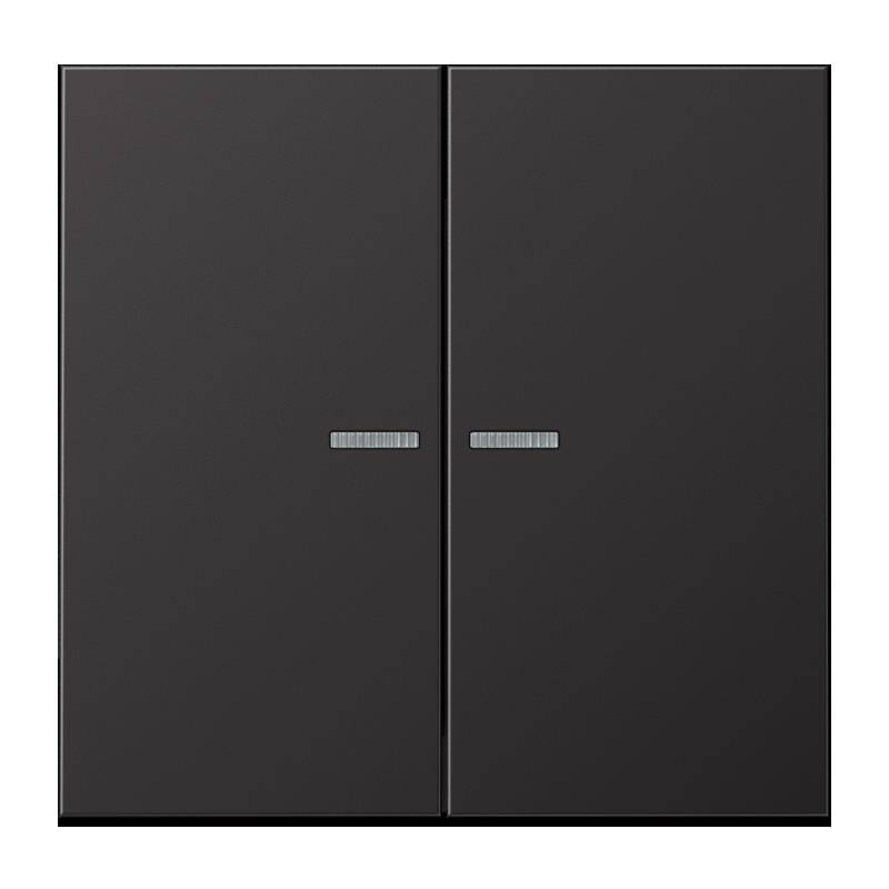 Jung Taster 2fach alu BT AL 17102 D