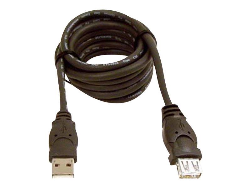 Belkin 6ft USB A/A 2.0 Extension Cable, M/F, 480Mps - USB-Verlängerungskabel - USB (M)