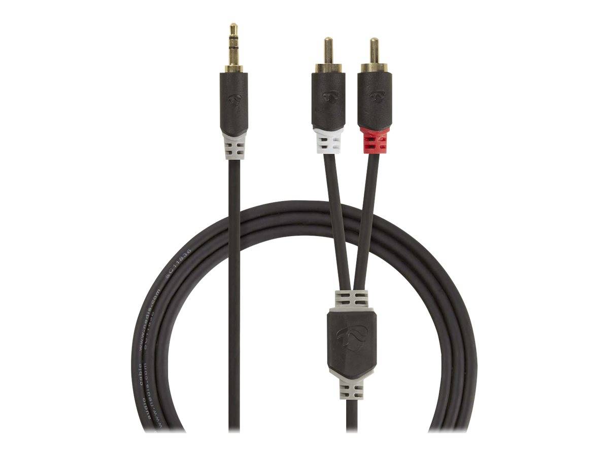Nedis Stereo-Audiokabel | 3.5 mm Stecker | 2x RCA Stecker Vergoldet | 1.00 m |