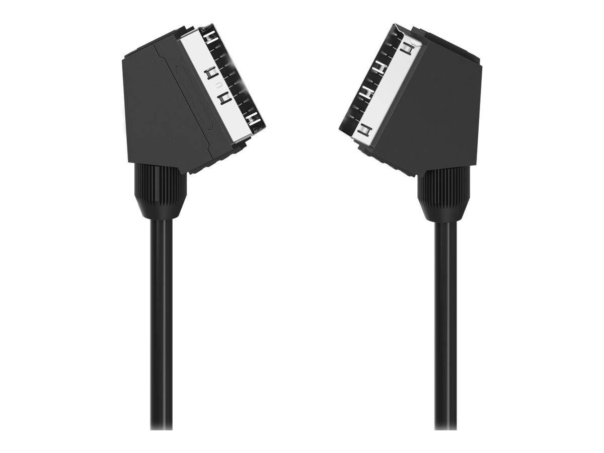 Hama Classic Line - Video- / Audiokabel - SCART männlich zu SCART männlich
