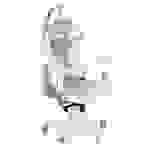 ENDORFY Scrim Onyx White - PC-Gamingstuhl - 120 kg - Gepolsterter Sitz - Gepolsterte Rückenlehne - 170 cm - 195 cm