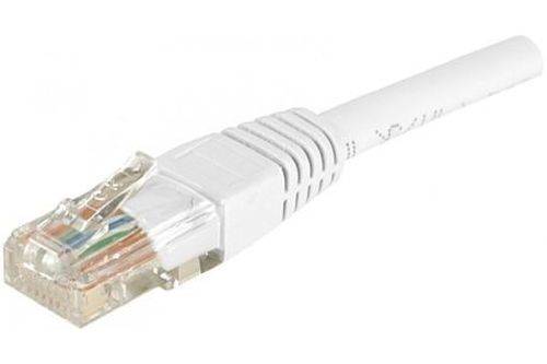 Nahaufnahme eines weißen Ethernet-Kabelsteckers mit einem transparenten RJ45-Stecker auf einem einfachen Hintergrund.