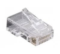 Klarer Kunststoff-Ethernet-Kabelstecker auf weißem Hintergrund.