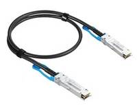 Extreme Networks 100GBase Direktanschlusskabel - QSFP28 zu QSFP28 - 0.5 m - Glas