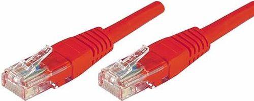 Zwei rote Ethernet-Netzwerkkabel mit RJ45-Steckverbindern auf weißem Hintergrund.