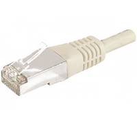 deXlan - Patch-Kabel - RJ-45 (M) zu RJ-45 (M)