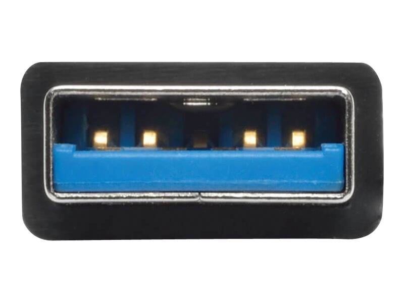 Nahaufnahme eines USB-Typ-A-Buchsenanschlusses mit einer blauen Kunststoffeinlage und vier sichtbaren vergoldeten Kontakten auf einem schwarzen Steckergehäuse.