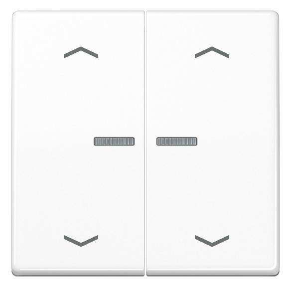 1St. Jung AS102KO5PWW Wippe für Serientaster KO, Pfeile