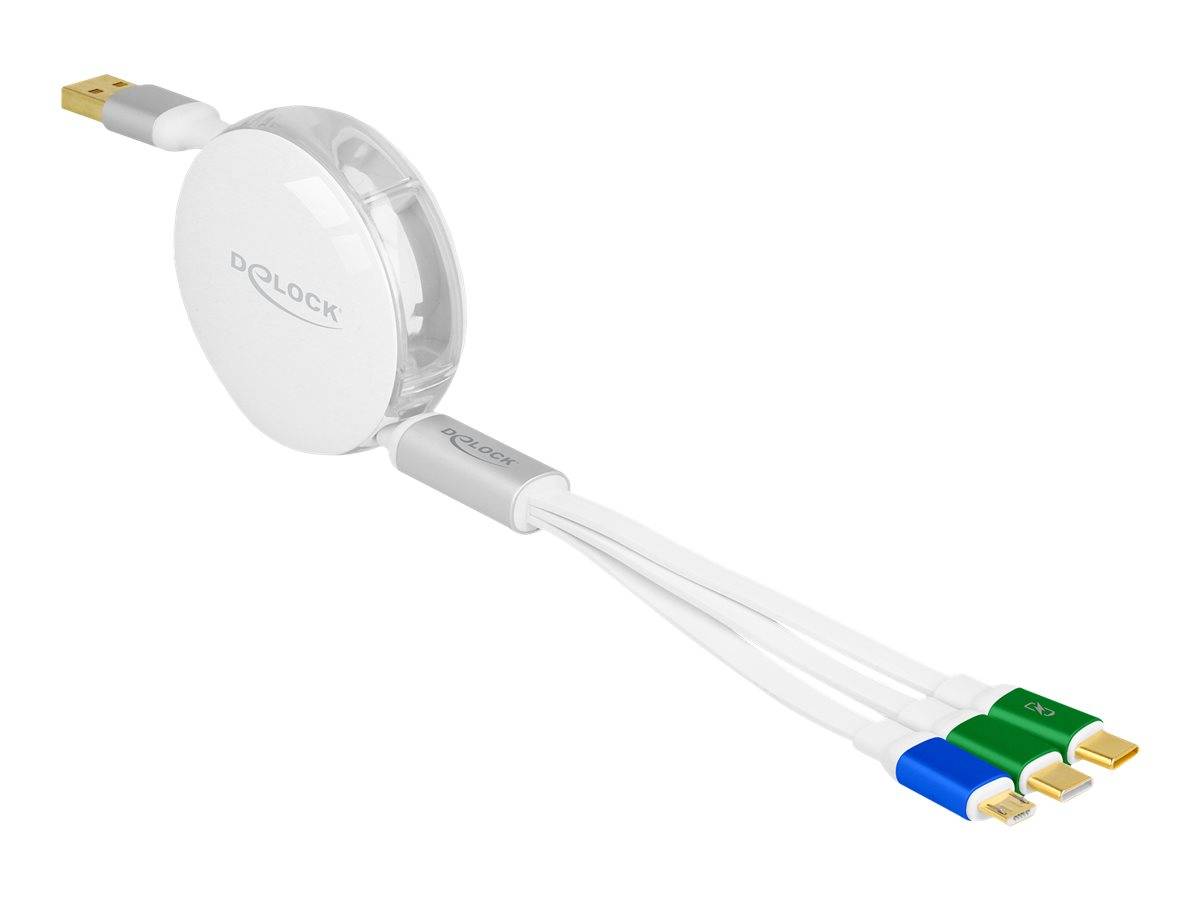 Delock - USB-Kabel - USB (M) zu Micro-USB Typ B, 24 pin USB-C (M)