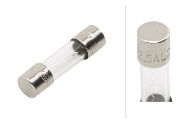 HELLA 8JS 713 804-003 Sicherung - Glassicherung - 2.5A - glasklar - Menge: 100