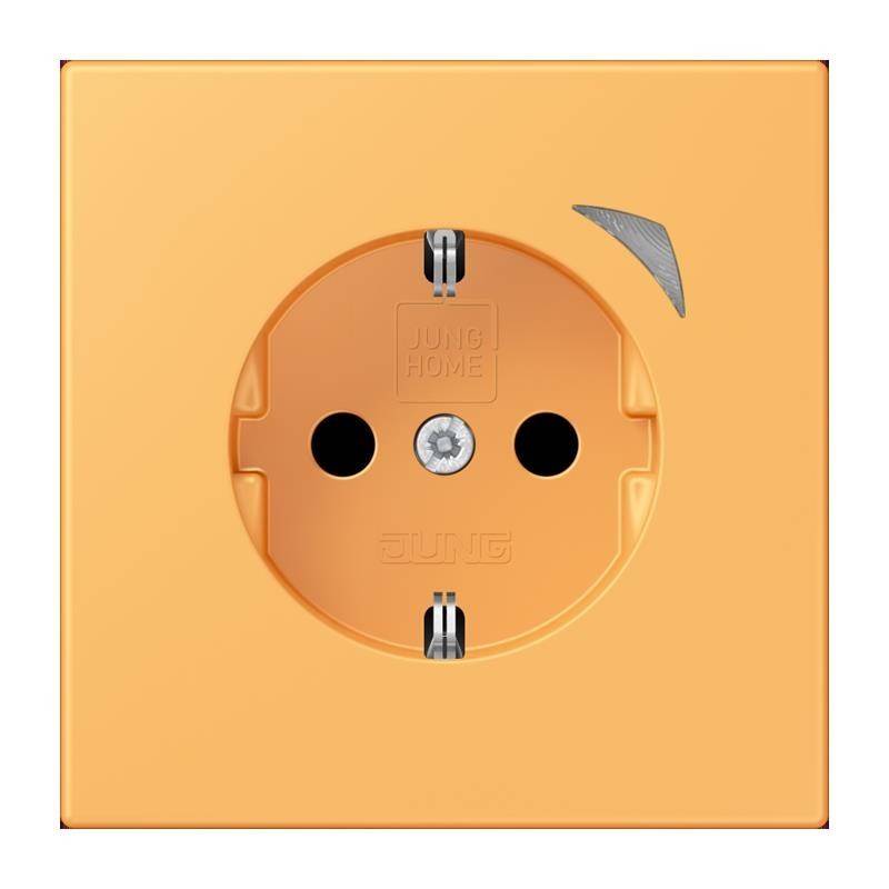 Jung SCHUKO Steckdose BT LC 1521 S 254