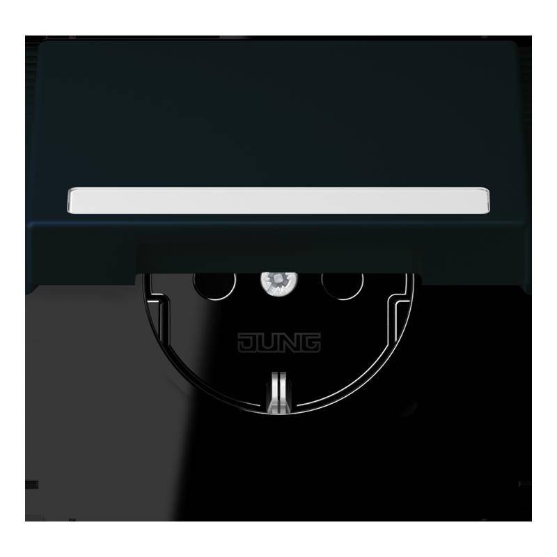 Jung SCHUKO Steckdose LC 1520 BFNAKL 248