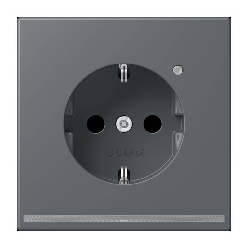 Jung SCHUKO Steckdose LC 1520-O LNW 202