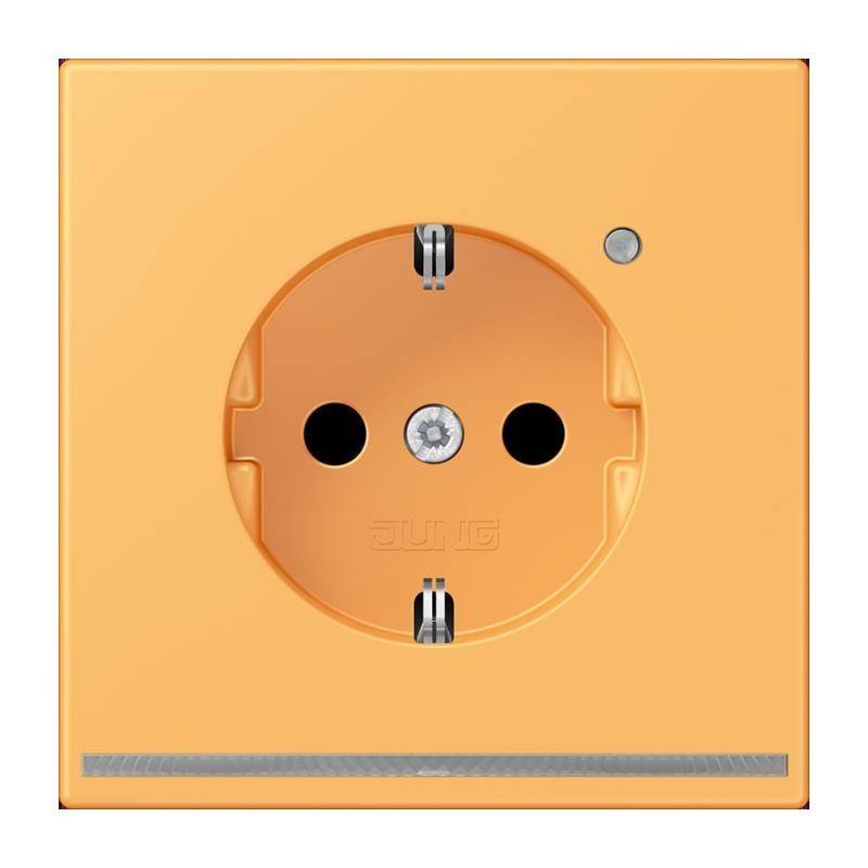 Jung SCHUKO Steckdose LC 1520-O LNW 254