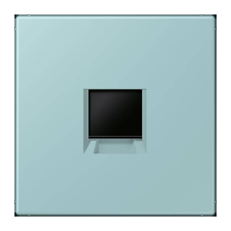 Jung Abdeckung (gerastet) LC 1969-1 WE 214