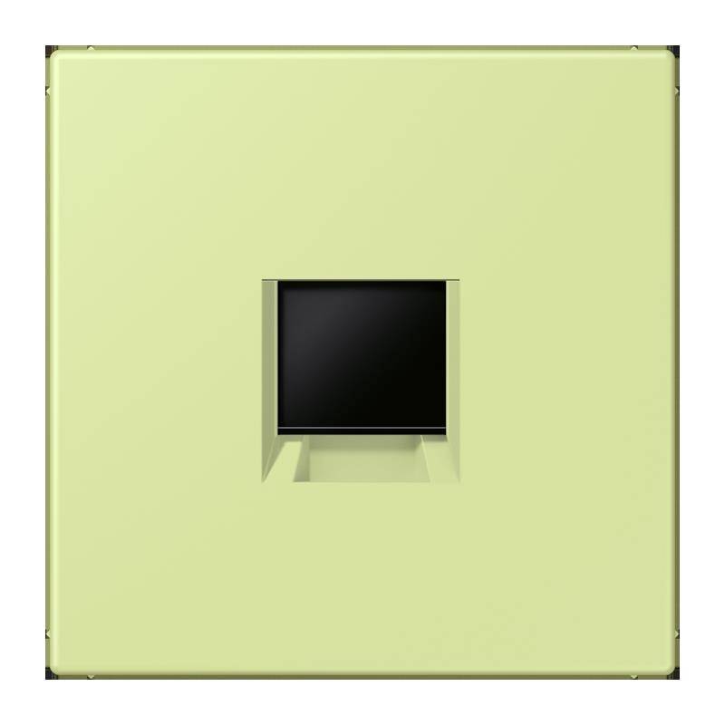 Jung Abdeckung (gerastet) LC 1969-1 WE 222