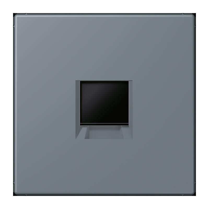 Jung Abdeckung (gerastet) LC 1969-1 WE 251