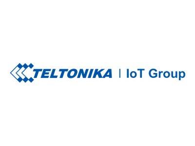 Logo der 'TELTONIKA IoT Group' in blauer Schrift mit einer stilisierten, geometrischen Grafik links daneben.