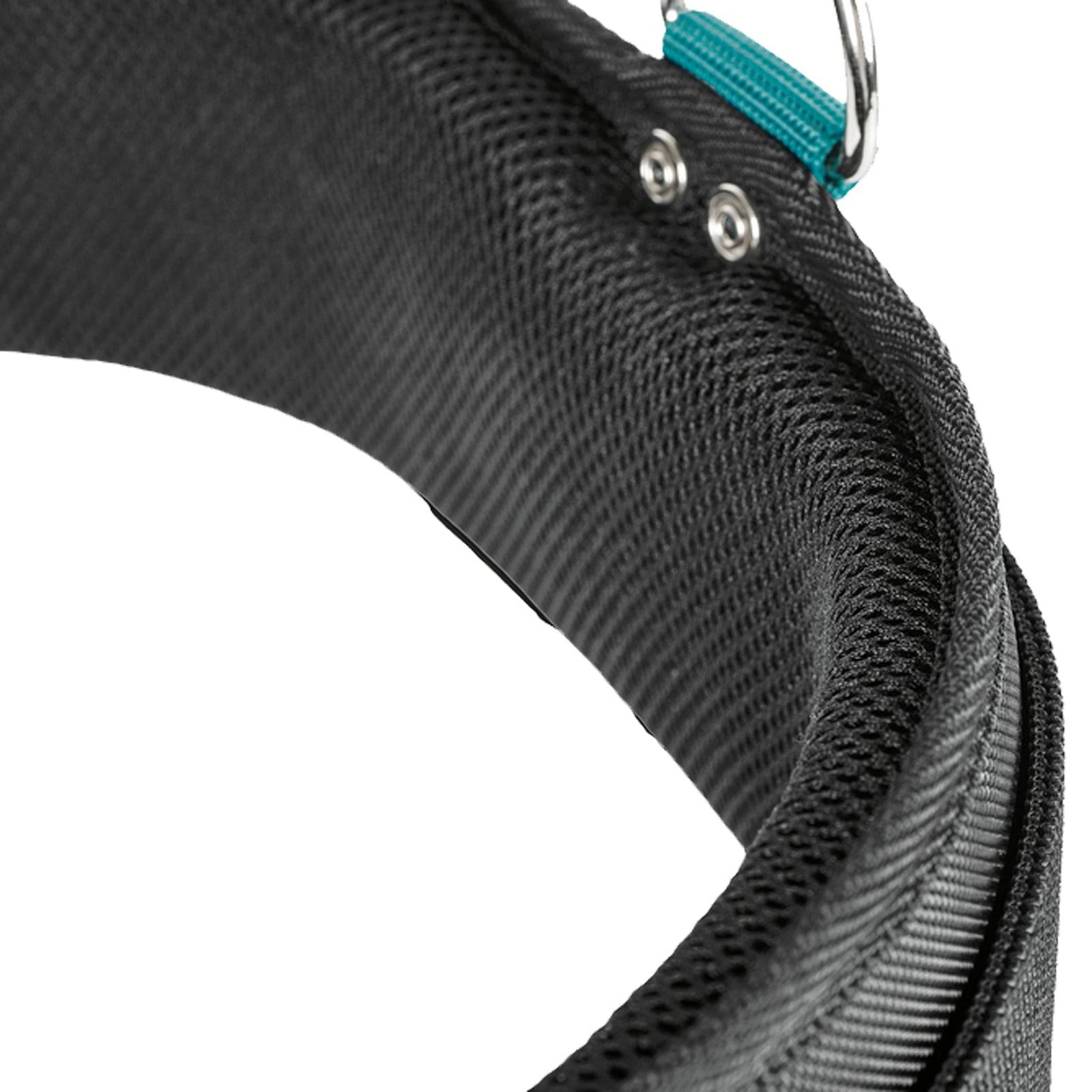 Nahaufnahme eines schwarzen Hundehalsband mit zwei Metallnieten und einer blauen Stoffschlaufe in der Nähe der Schnalle.