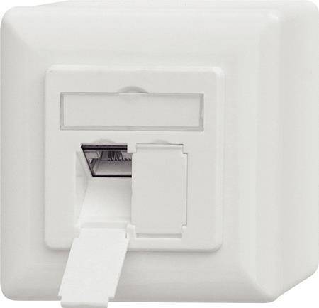 Datendose, Cat 6A EIA/TIA-568B, 2-fach, Aufputz / Unterputz, reinweiß Zum Anschluss von 2 PCs (17000515)
