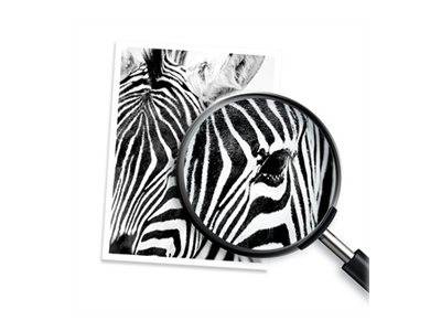 HP 308 Black Original Ink Cartridge Drucken, Scannen & Verbrauchsmaterial Verbrauchsmaterialien - &