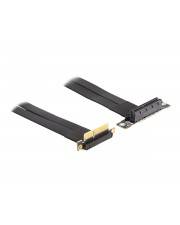Delock Riser Card - 0,3 m - PCI-Express - Schwarz