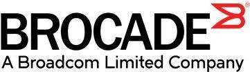 Brocade 8Gb FC Single-port HBA for Lenovo System x