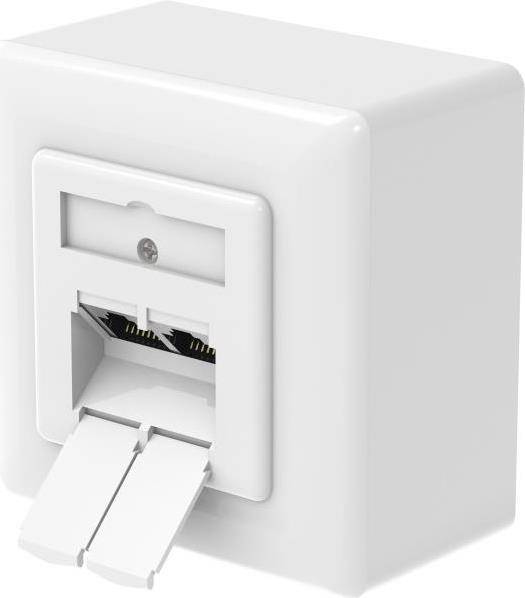 Hama Netzwerkdose, CAT-6a, 10 Gbit/s, geschirmt, 2 Ports, Aufputz-/Unterputz (00200774)