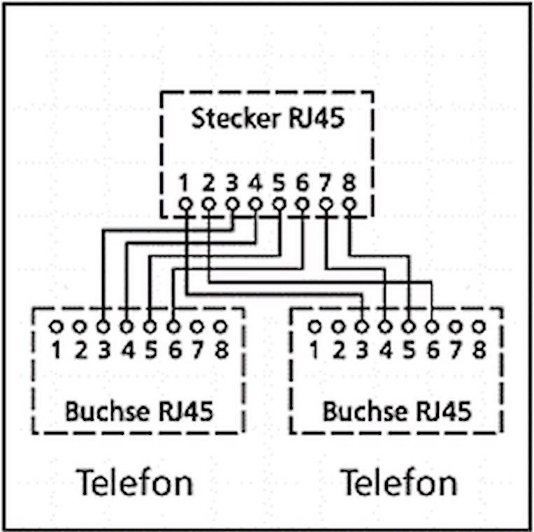goobay Kabel Splitter Y Adapter 1 RJ45 Stecker auf 2 RJ45 Buchsen (Bulk)