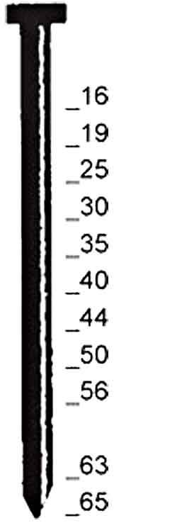 Stauchkopfnägel Type N